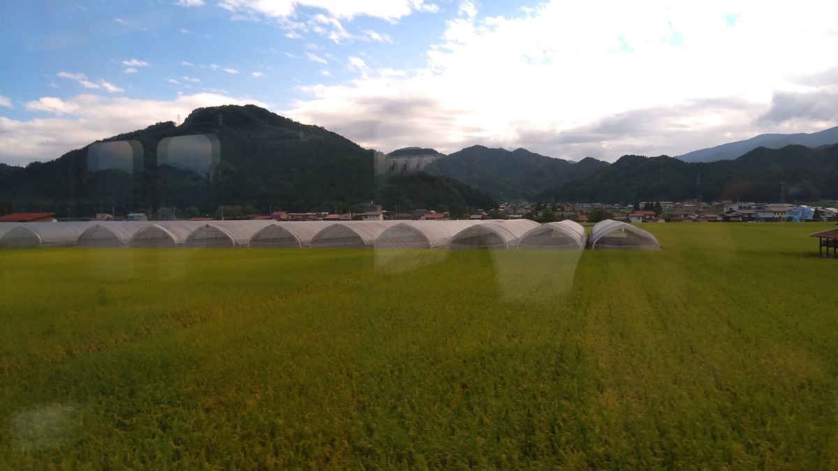 f:id:kenchi555:20210828160449j:plain