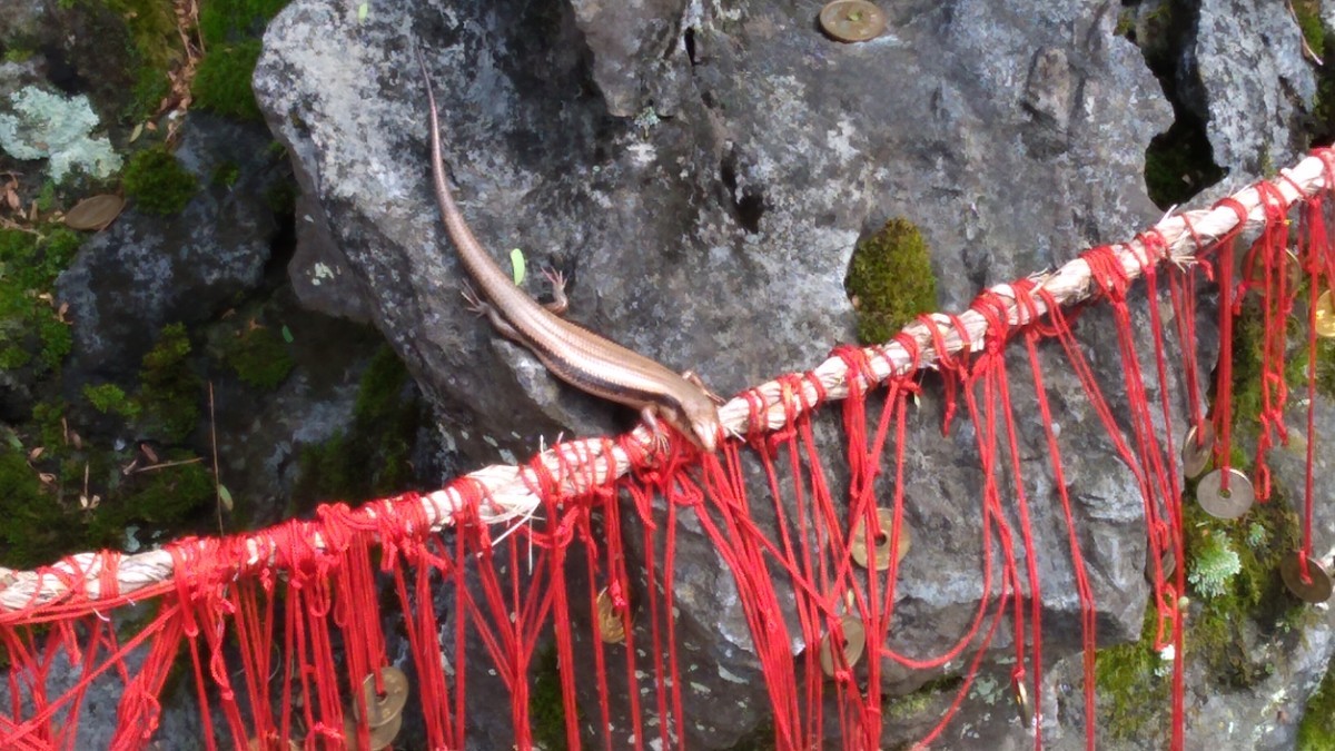 f:id:kenchi555:20210911134804j:plain