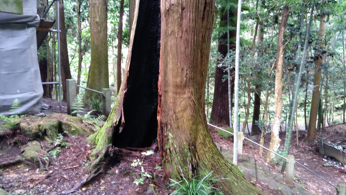 f:id:kenchi555:20210911144417j:plain