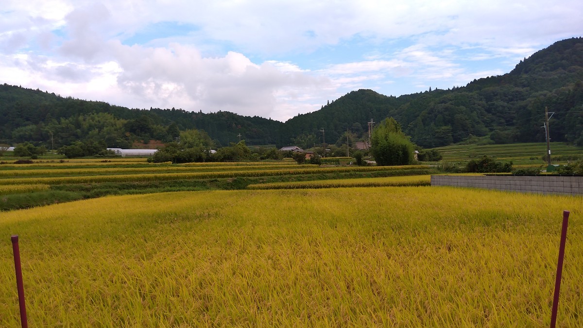 f:id:kenchi555:20210911164745j:plain