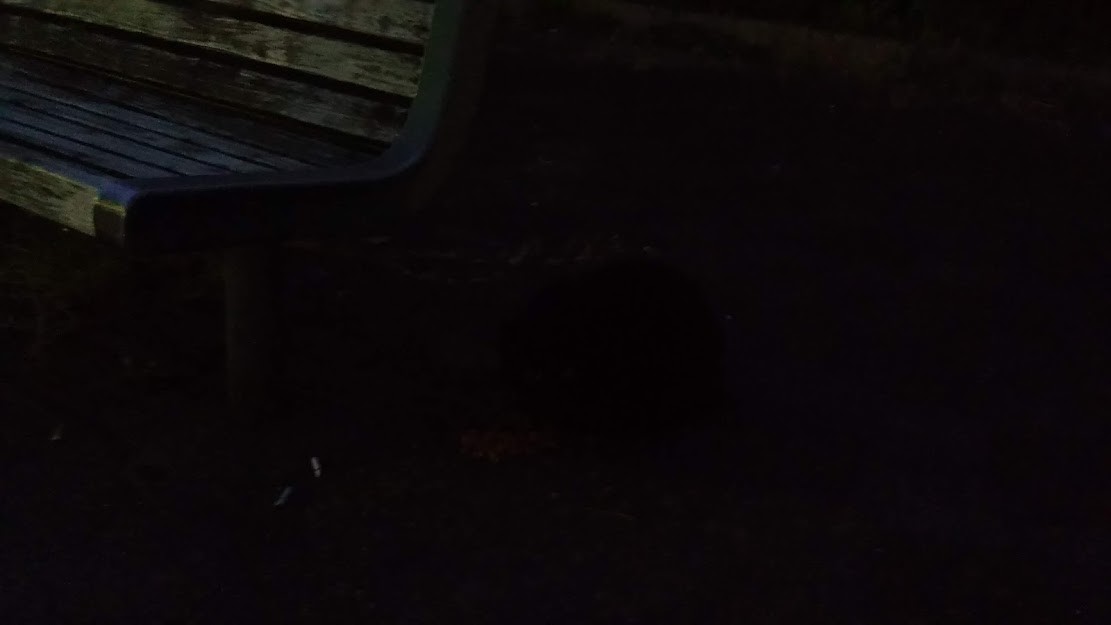 f:id:kenchi555:20211022072321j:plain