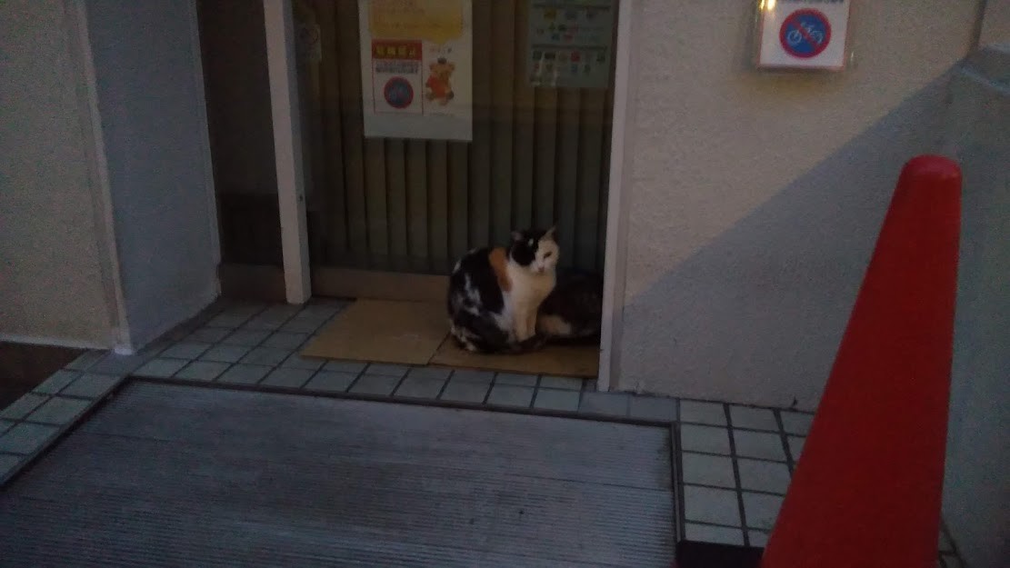 f:id:kenchi555:20211022072416j:plain