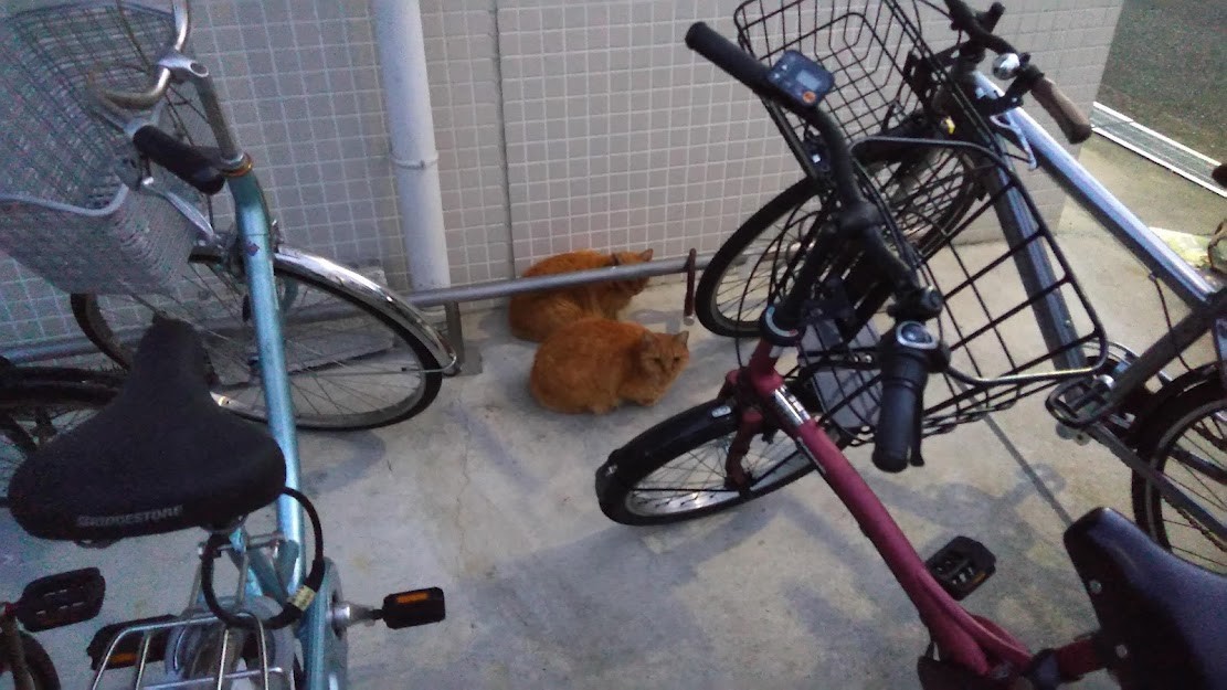 f:id:kenchi555:20211022072449j:plain