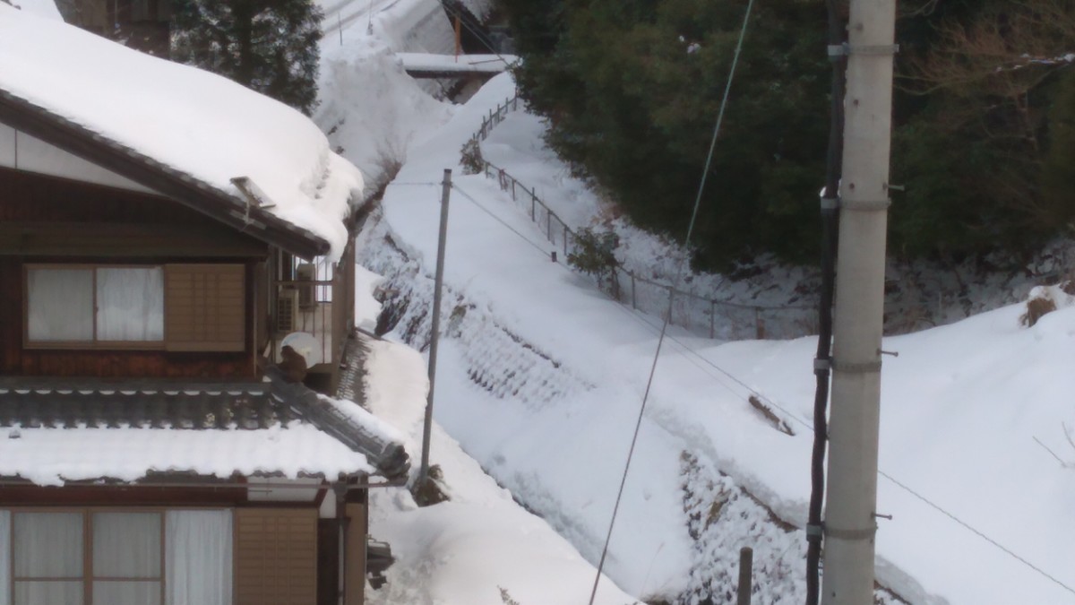 f:id:kenchi555:20220122080130j:plain