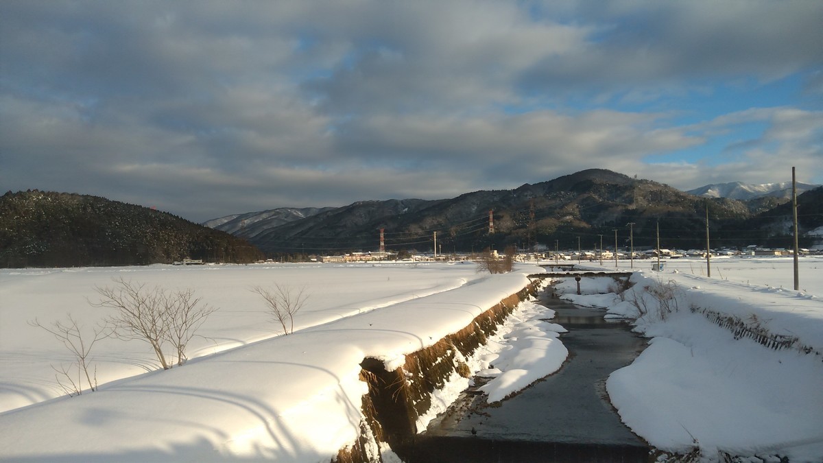 f:id:kenchi555:20220122081044j:plain