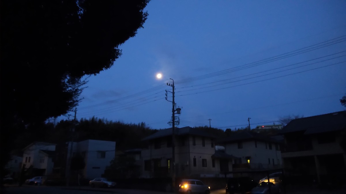 f:id:kenchi555:20220219061618j:plain