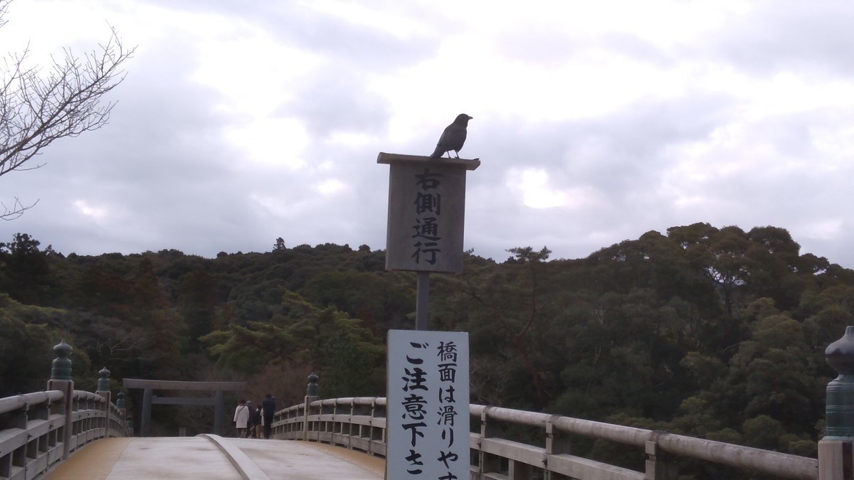 f:id:kenchi555:20220219071421j:plain