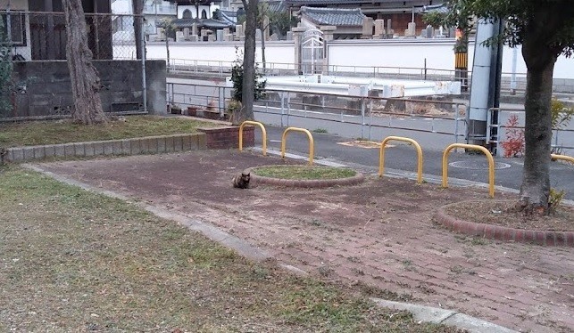 f:id:kenchi555:20220309075331j:plain