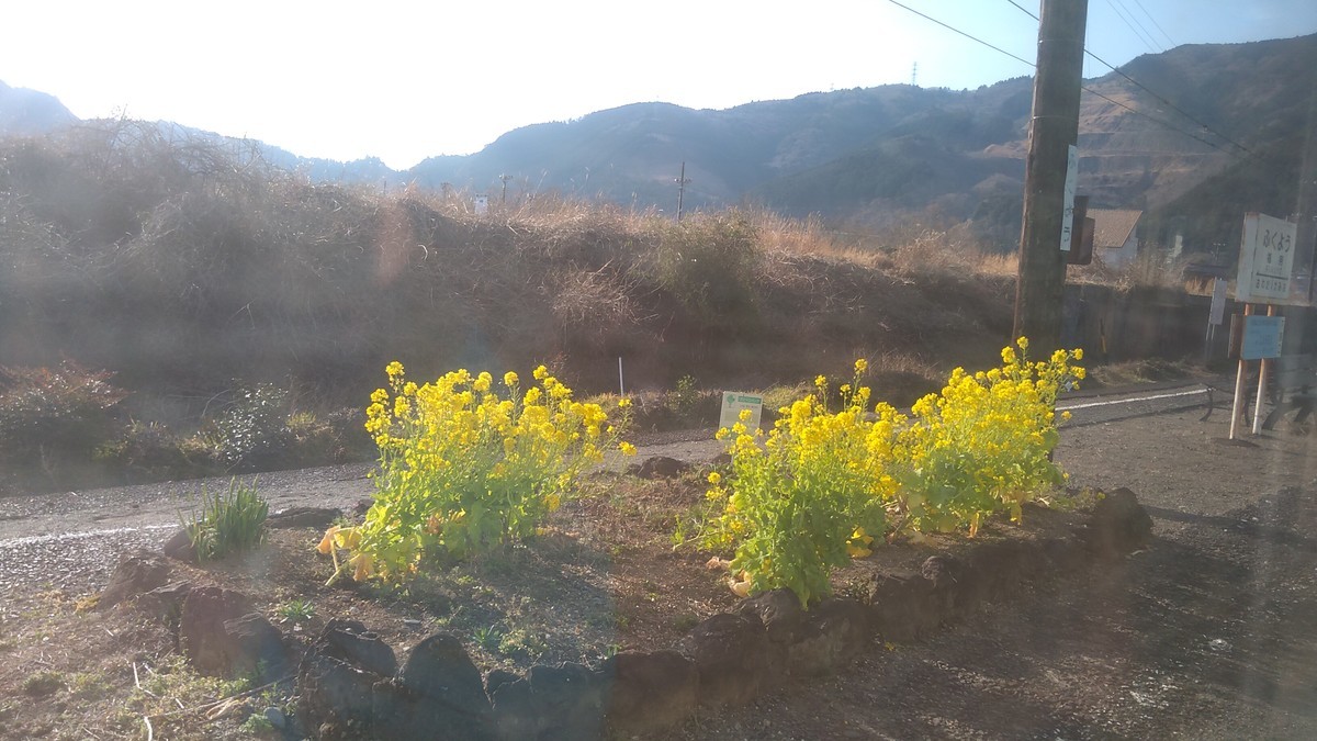 f:id:kenchi555:20220311081152j:plain