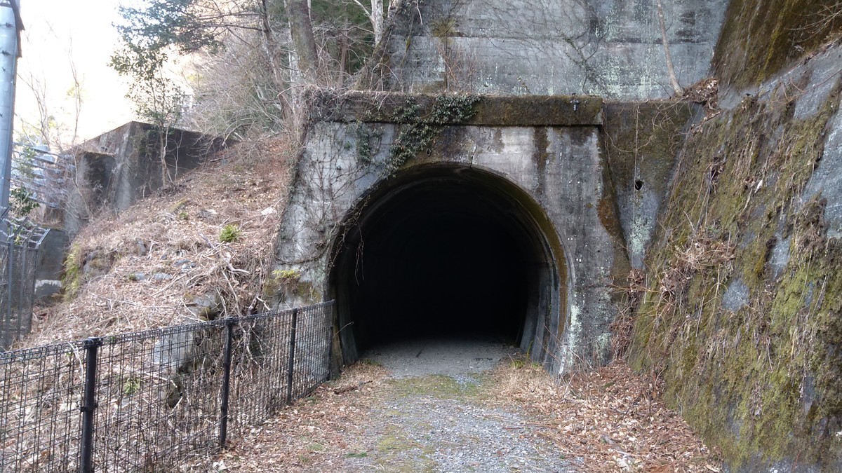 f:id:kenchi555:20220311100312j:plain