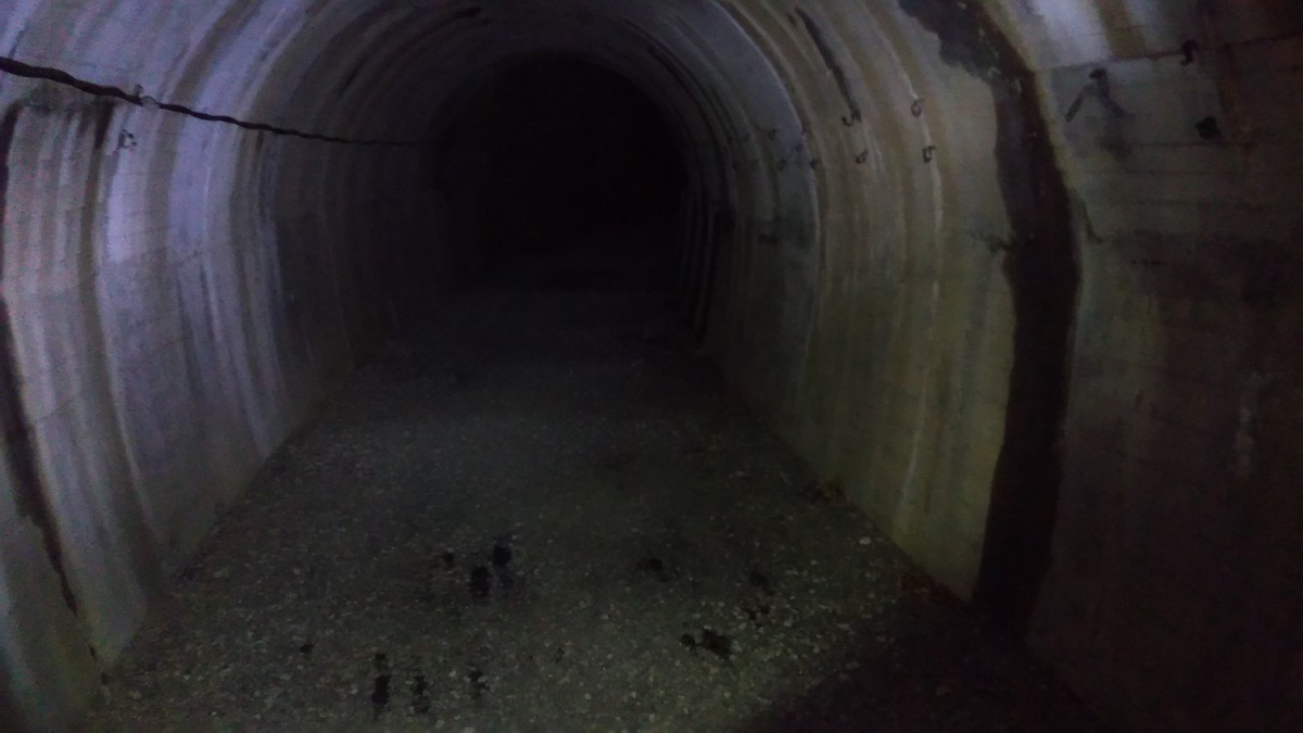 f:id:kenchi555:20220311100457j:plain