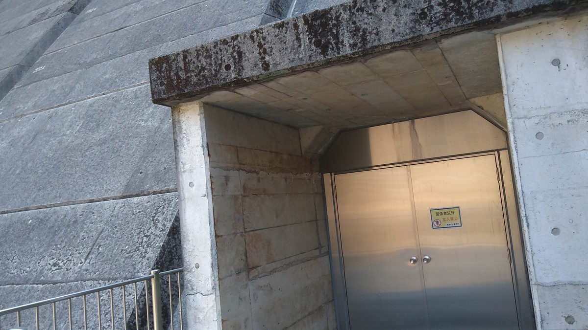 f:id:kenchi555:20220311104008j:plain