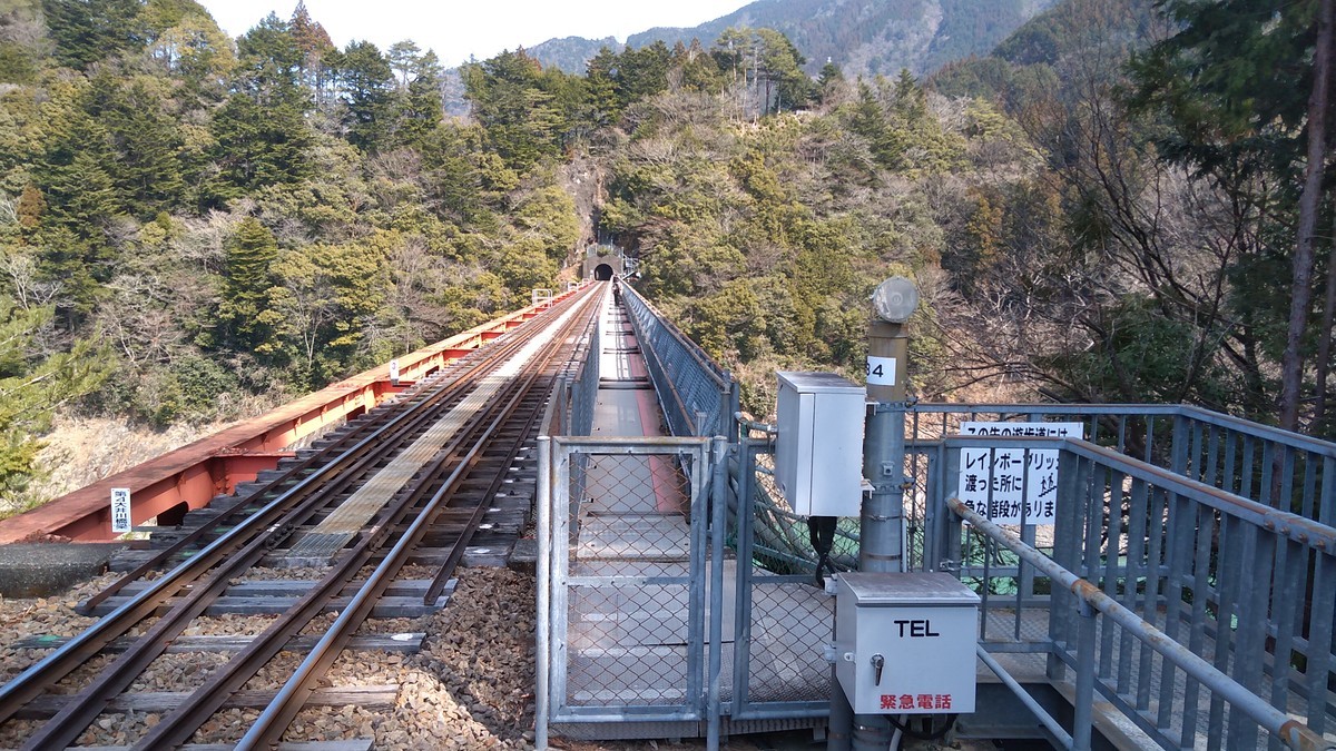 f:id:kenchi555:20220311120238j:plain