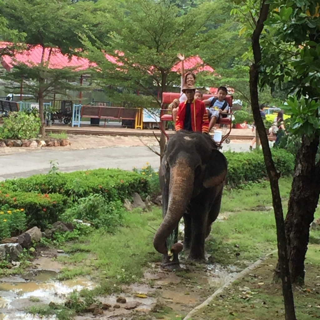 f:id:kenchuke0415:20171018155008j:plain f:id:kenchuke0415:20171018155008j:plain