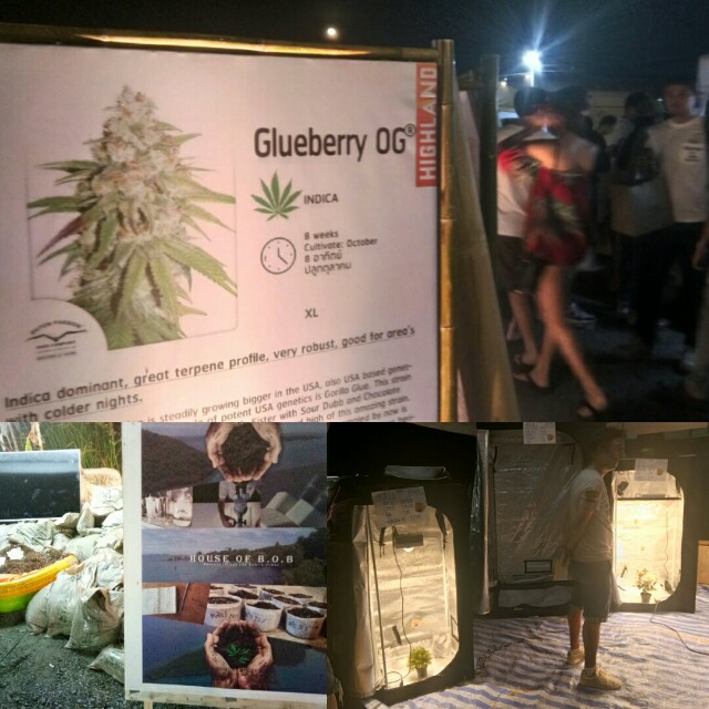 f:id:kenchuke0415:20190421191140j:image