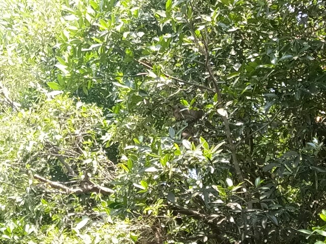 f:id:kenchuke0415:20190520135131j:image