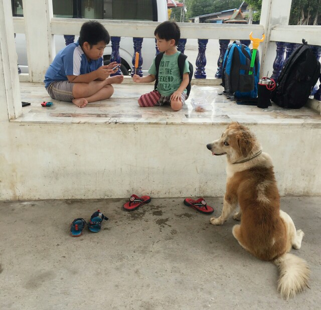 f:id:kenchuke0415:20200213161438j:image