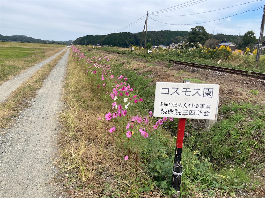 f:id:kendai1973:20211031085729j:image
