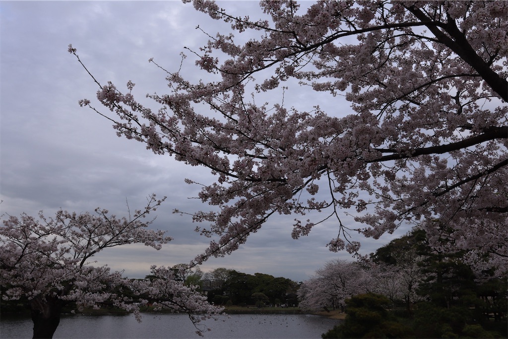 f:id:kendon01:20230328084315j:image f:id:kendon01:20230328084315j:image