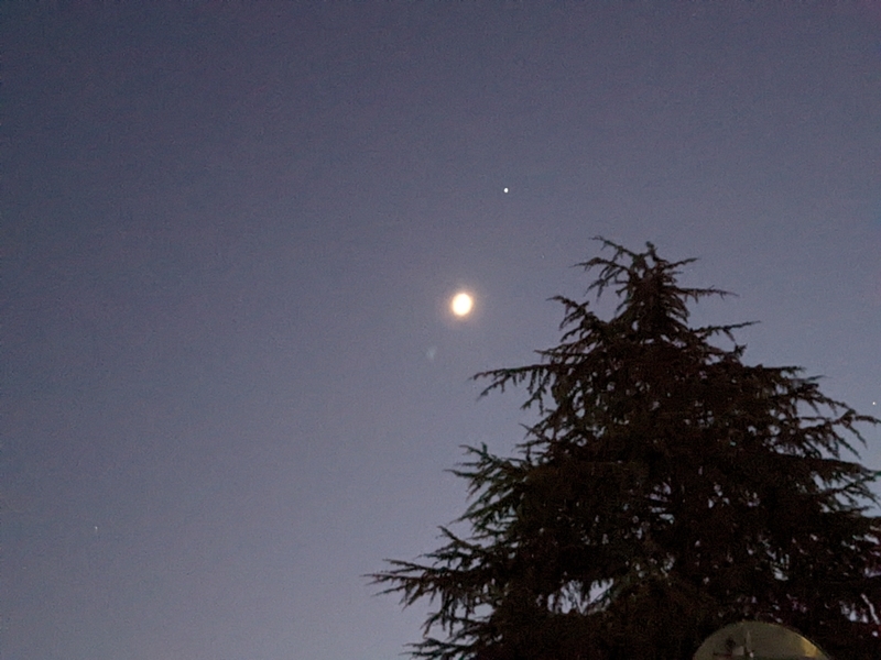 f:id:kenedori:20211209192115j:plain