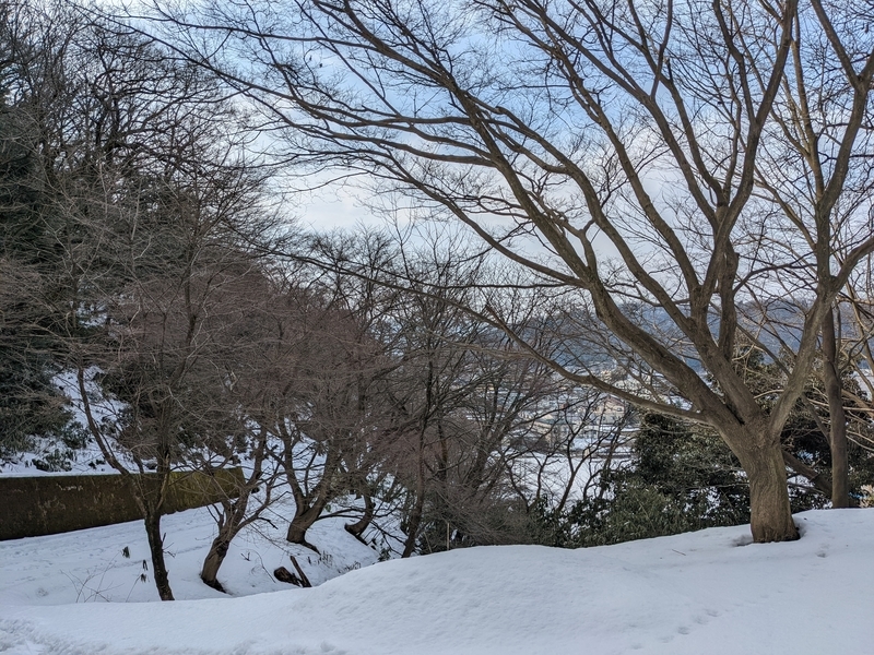 f:id:kenedori:20220306050537j:plain