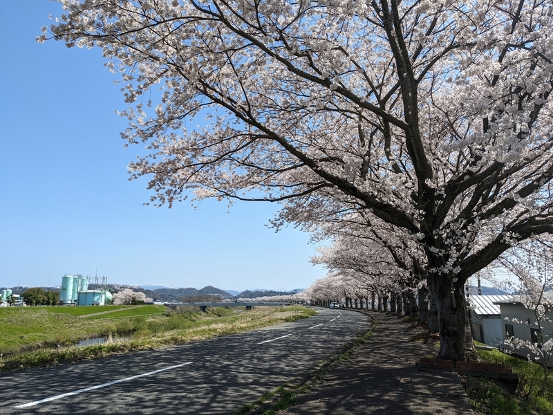f:id:kenedori:20220409195548j:plain