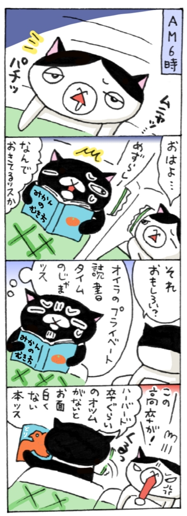 休日の早朝「あたらしいみかんのむきかた」を読む黒い影 年の差猫夫婦マンガ