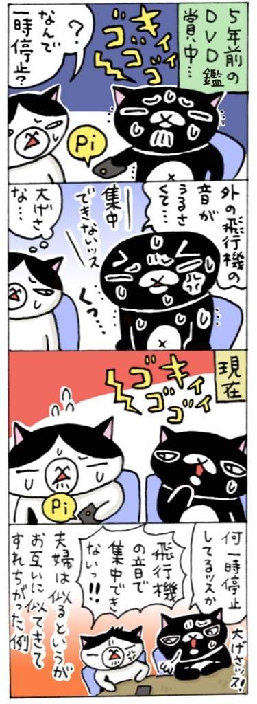 年の差猫夫婦マンガ