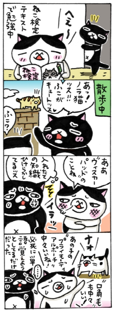 年の差猫夫婦マンガ