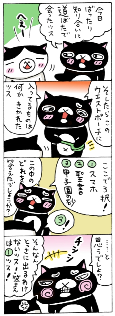 年の差猫夫婦マンガ