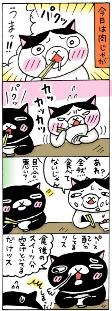 年の差猫夫婦マンガ