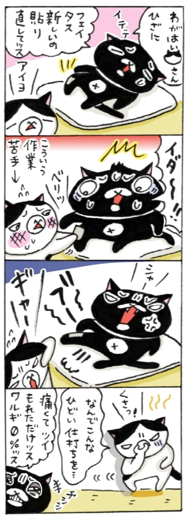 ウチでは、ひざの痛みにはフェイタスを愛用しております 年の差猫夫婦マンガ