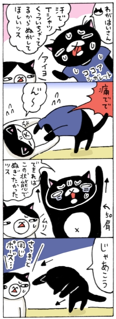 年の差猫夫婦マンガ