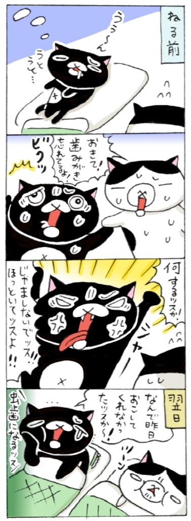 年の差猫夫婦マンガ