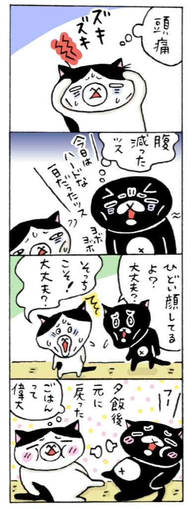 年の差猫夫婦マンガ