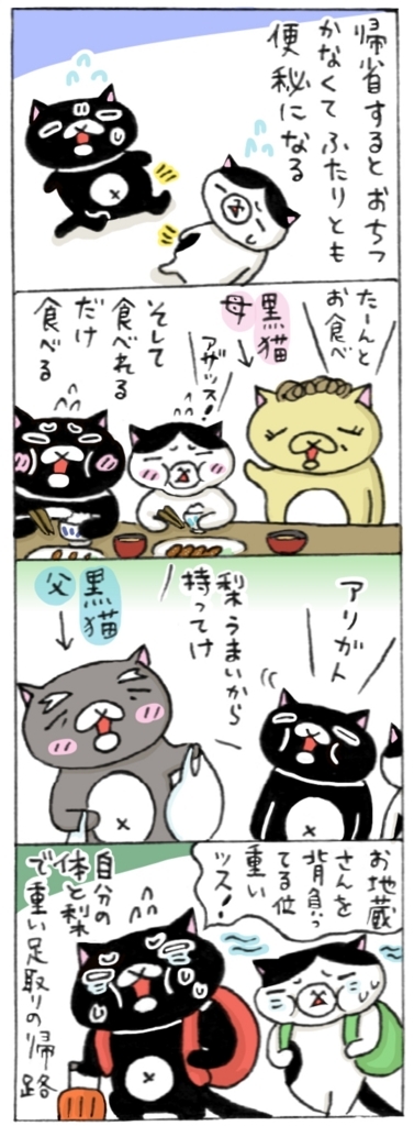 年の差猫夫婦マンガ