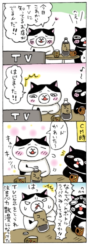 年の差猫夫婦マンガ