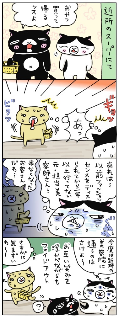 近所の美容院にしばらく通ってみて、しくじったこと。 年の差猫夫婦マンガ
