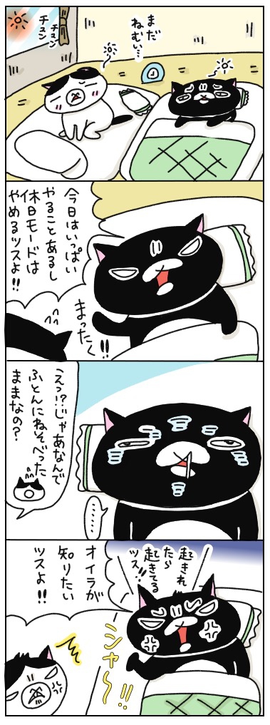 年の差猫夫婦マンガ