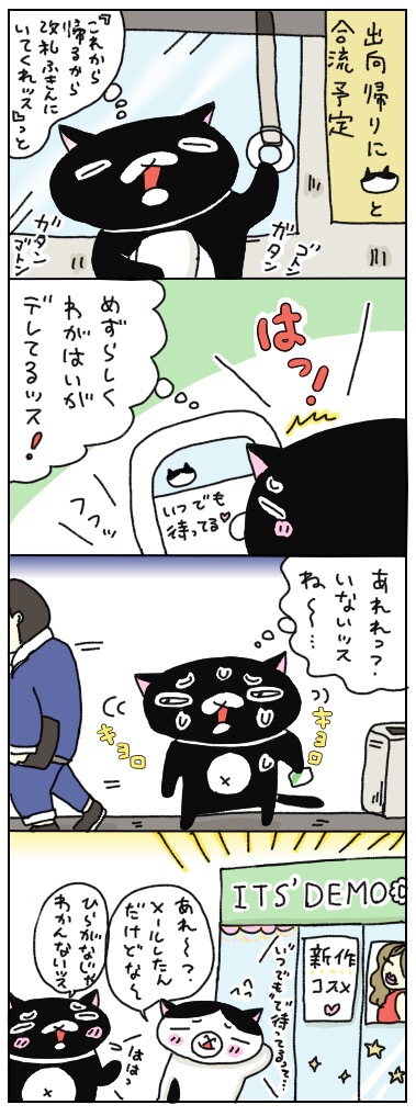 年の差猫夫婦マンガ