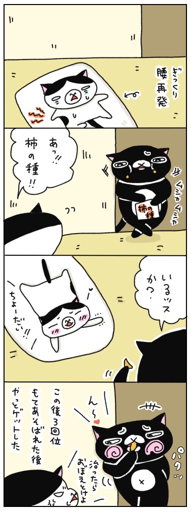 年の差猫夫婦マンガ