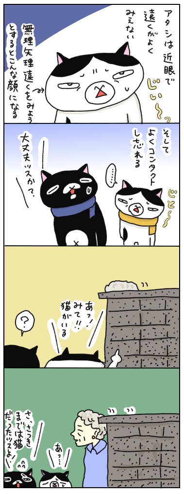 年の差猫夫婦マンガ