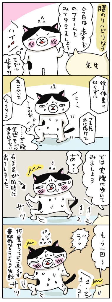 年の差猫夫婦マンガ