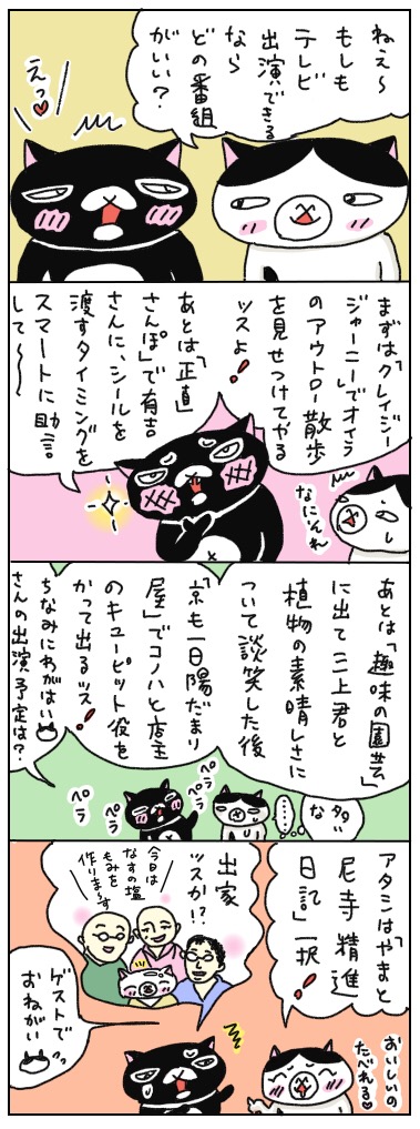 年の差猫夫婦マンガ