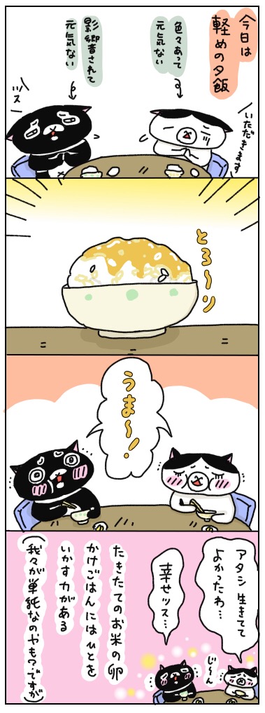 年の差猫夫婦マンガ