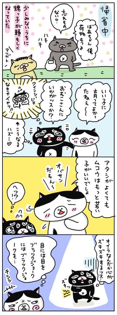 年の差猫夫婦マンガ