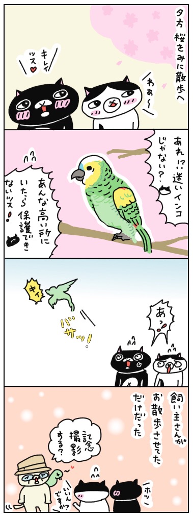 年の差猫夫婦マンガ