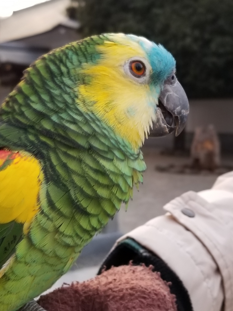 f:id:kengaishoten:20180324224820j:plain