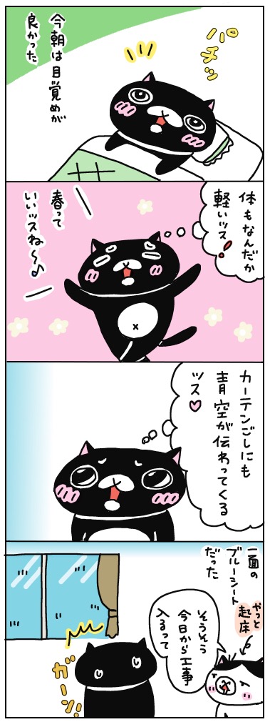 年の差猫夫婦マンガ