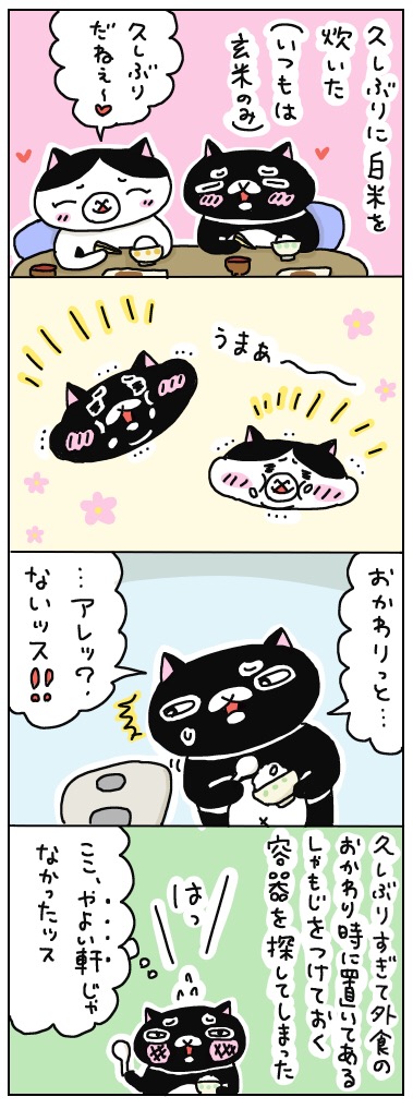 年の差猫夫婦マンガ